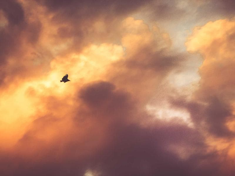 Protecting Your Brand in the Age of Viral Outrage